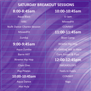All Saturday Breakout Sessions LV 24